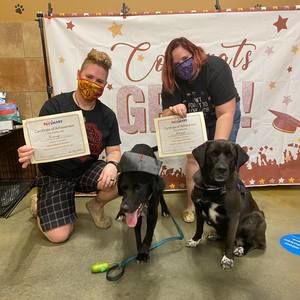 Meet your Posher, Phoenix